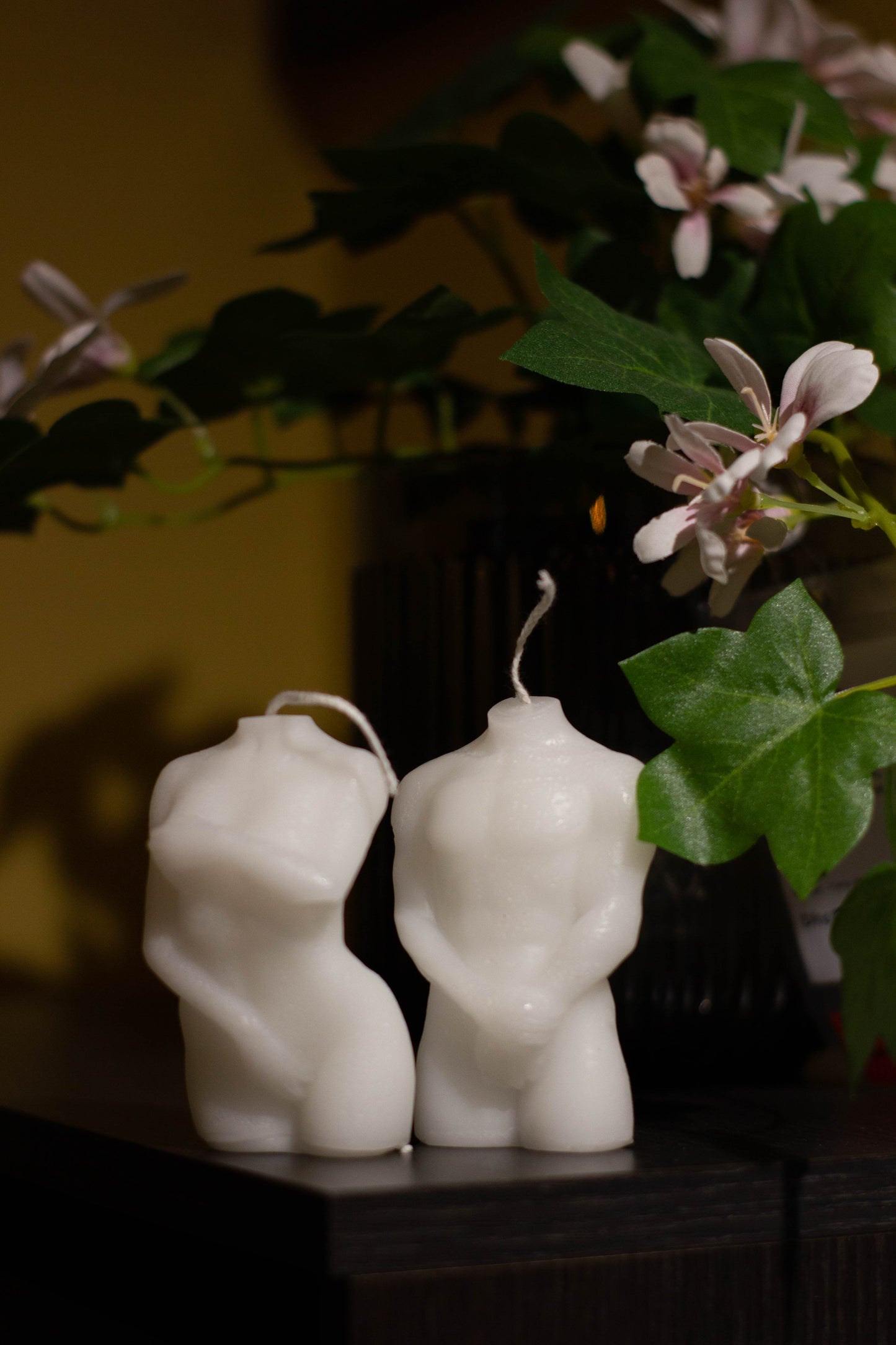 Adam & Eve