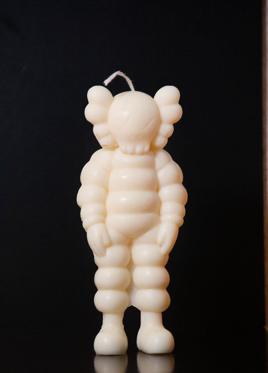 K.A.W.S Michelin